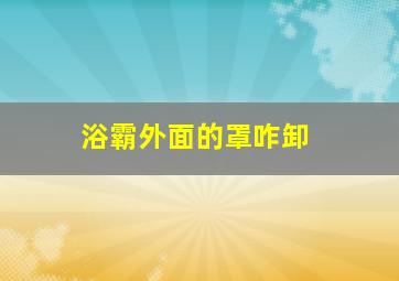 浴霸外面的罩咋卸